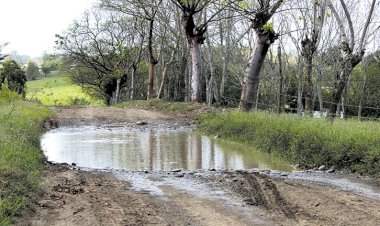 REPORTAJE | En la huasteca veracruzana, una red carretera en el abandono