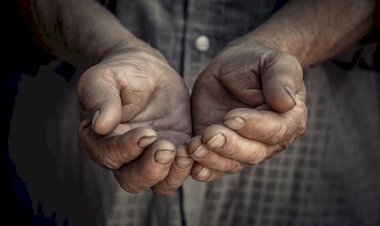 Con muros y cortinas de humo, Morena busca tapar la cruda realidad
