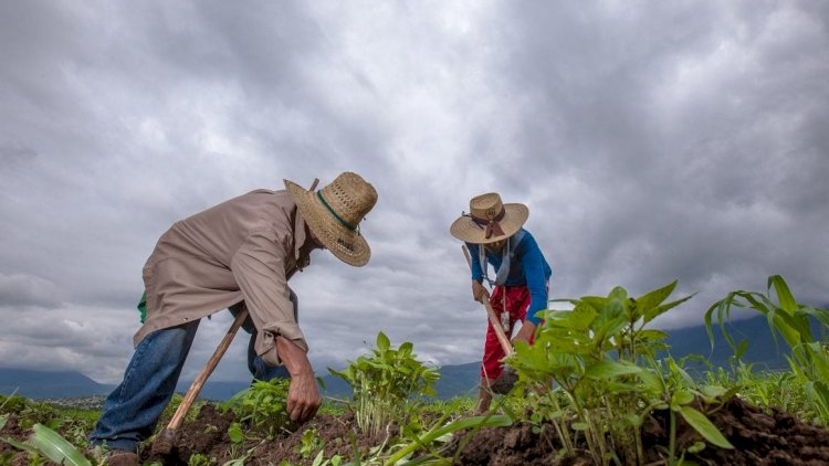 La crisis del campo mexicano - Movimiento Antorchista Nacional