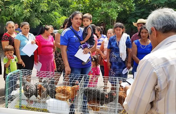 Gallinas Huetamo